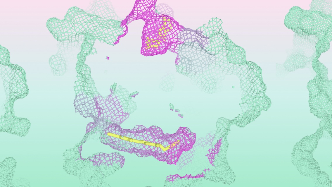 AlphaFold-style protein-ligand visualisation
